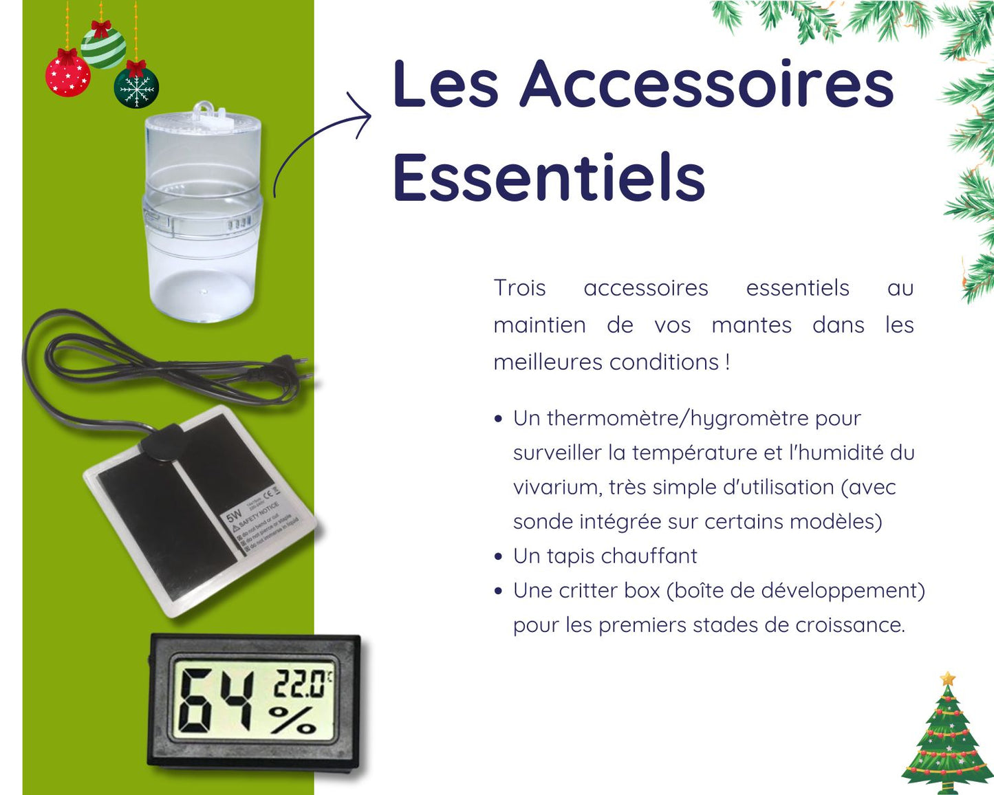 Kit Cadeau - Phidippus - Noel 2025