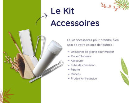 Kit de cría de hormigas - Pack Fundación DELUXE