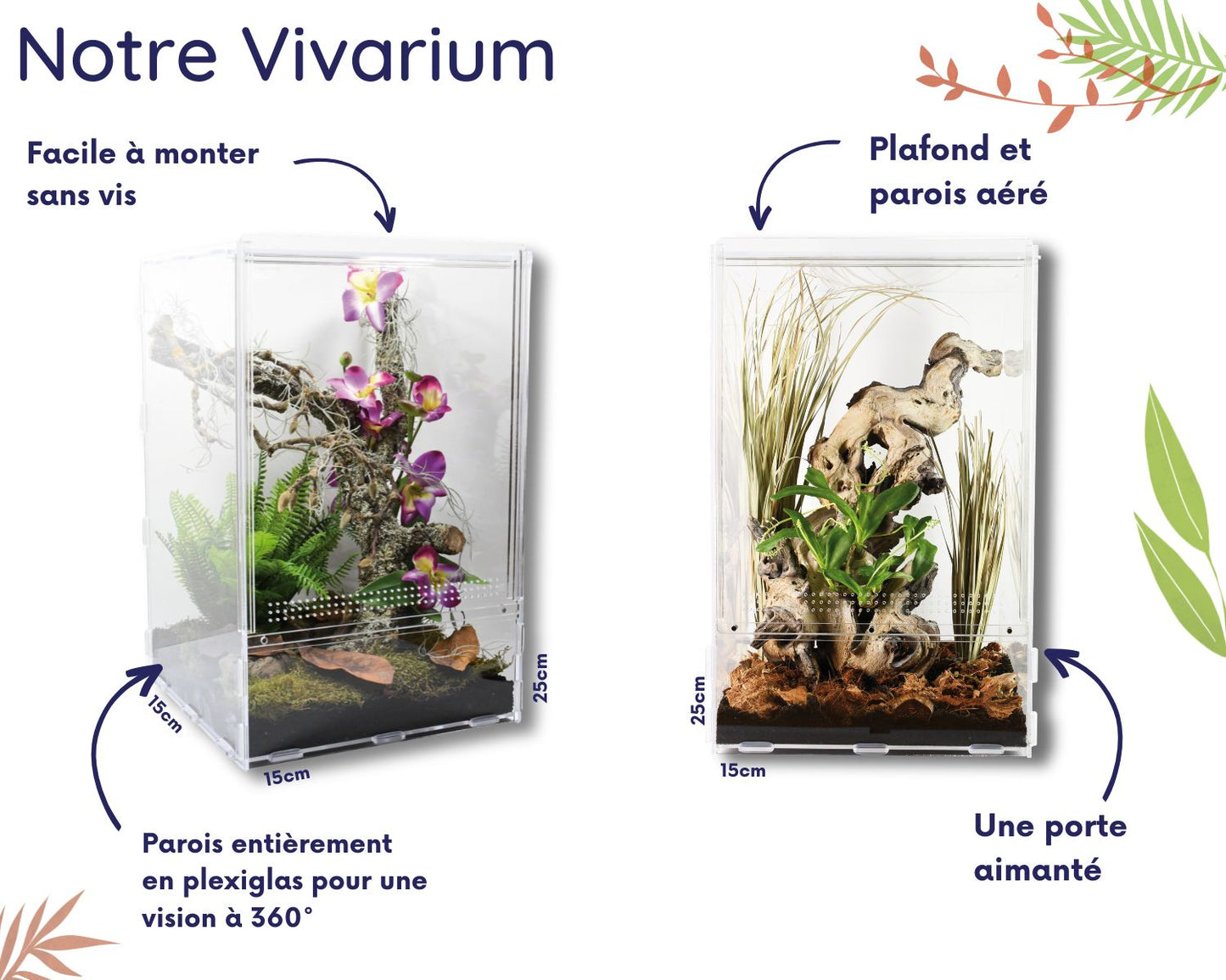 Vivarium Mantes - Lucky reptile