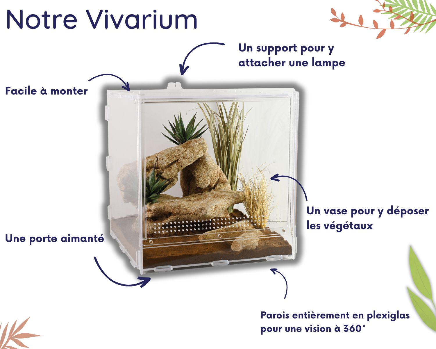 Elevage Insect Elevage d'insectes à l'école et en classe – L'insecterie