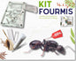 Kit de cría de hormigas - Pack Fundación DELUXE