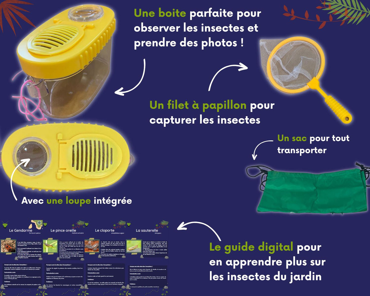 Insecte Enfant Outils éducatifs Insectes Enfants Kit Exploration Insecte Enfant Outils éducatifs Insectes Enfants Kit Exploration