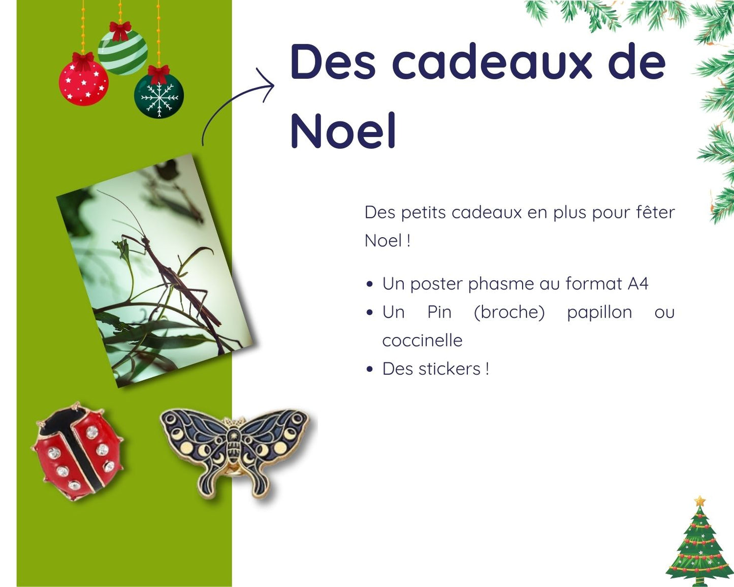 Kit Cadeau - Mante - Noel 2024