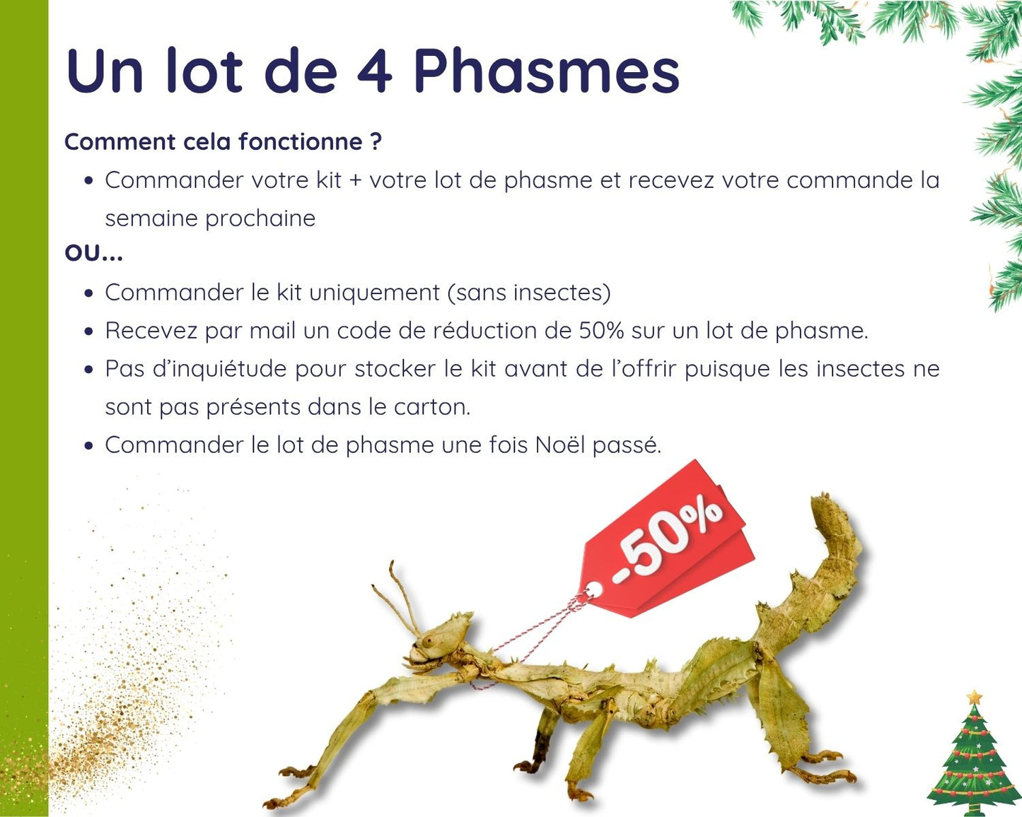 Kit Cadeau - Phasme - Noel 2025