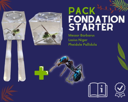 Kit d’élevage de Fourmis - Pack Fondation STARTER