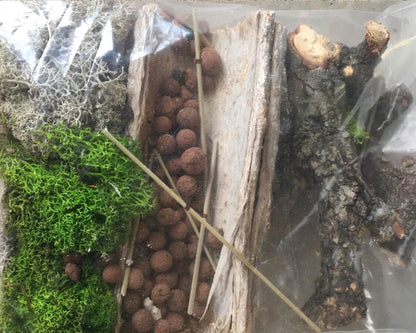Kit Décoration Vivarium Insectes