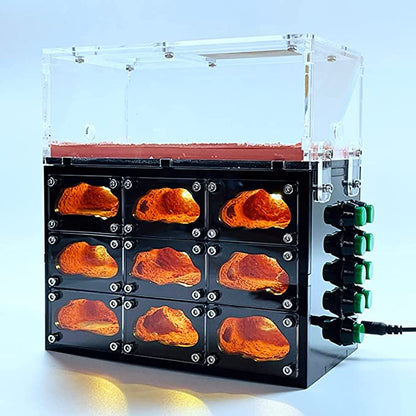 Fourmilière Avec LED + Aire de chasse - Grand Format