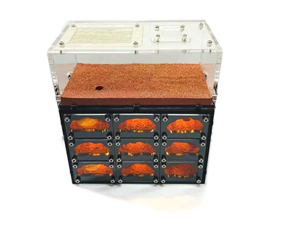Fourmilière Avec LED + Aire de chasse - Grand Format