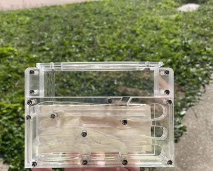 Fourmilière verticale