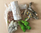 Kit Décoration Vivarium Insectes
