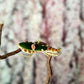 Mantis - Creobroter sp (China)
