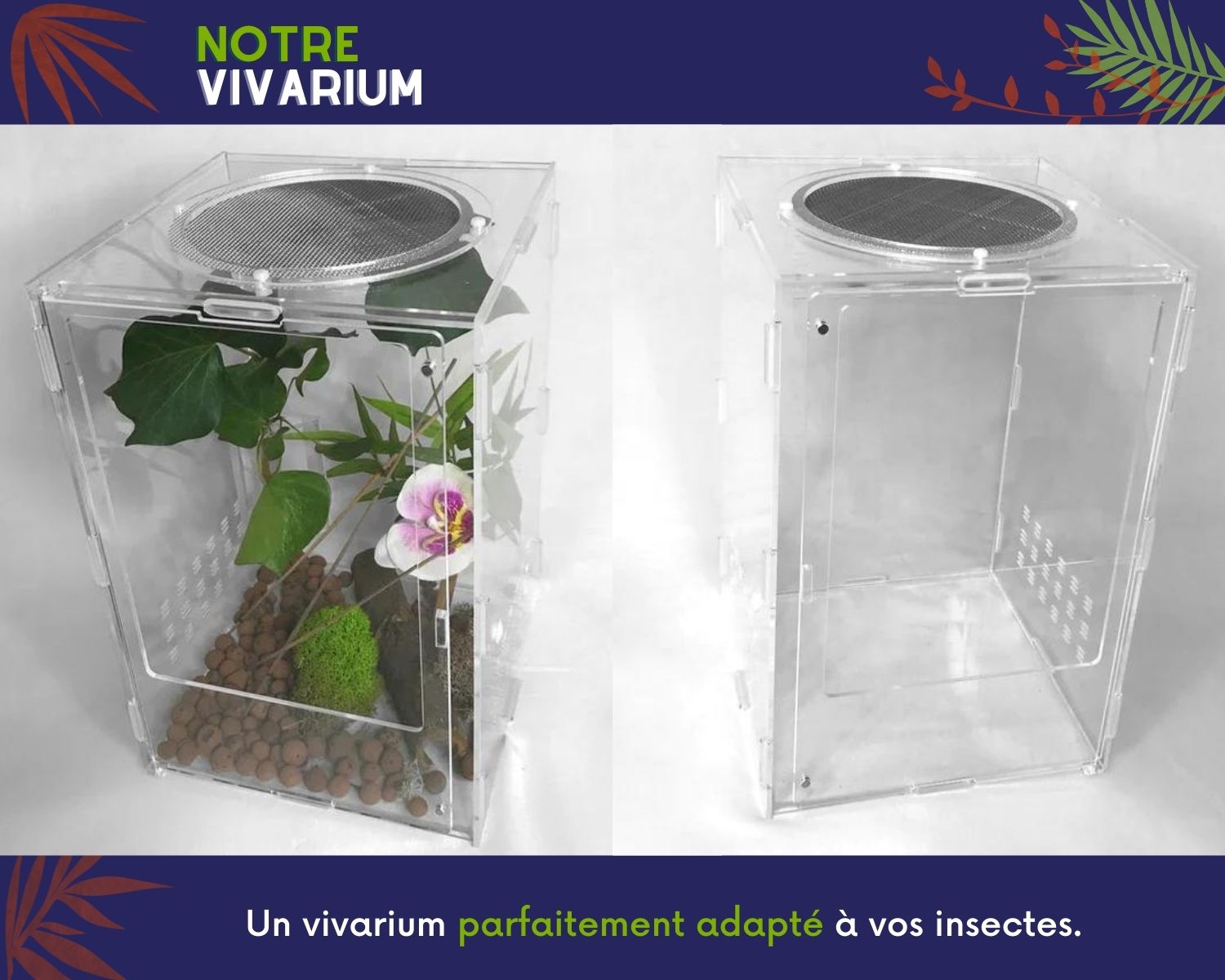 Tapis Chauffant Terrarium – L'insecterie