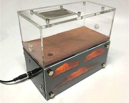 Fourmilière avec LED intégrée + Aire de chasse