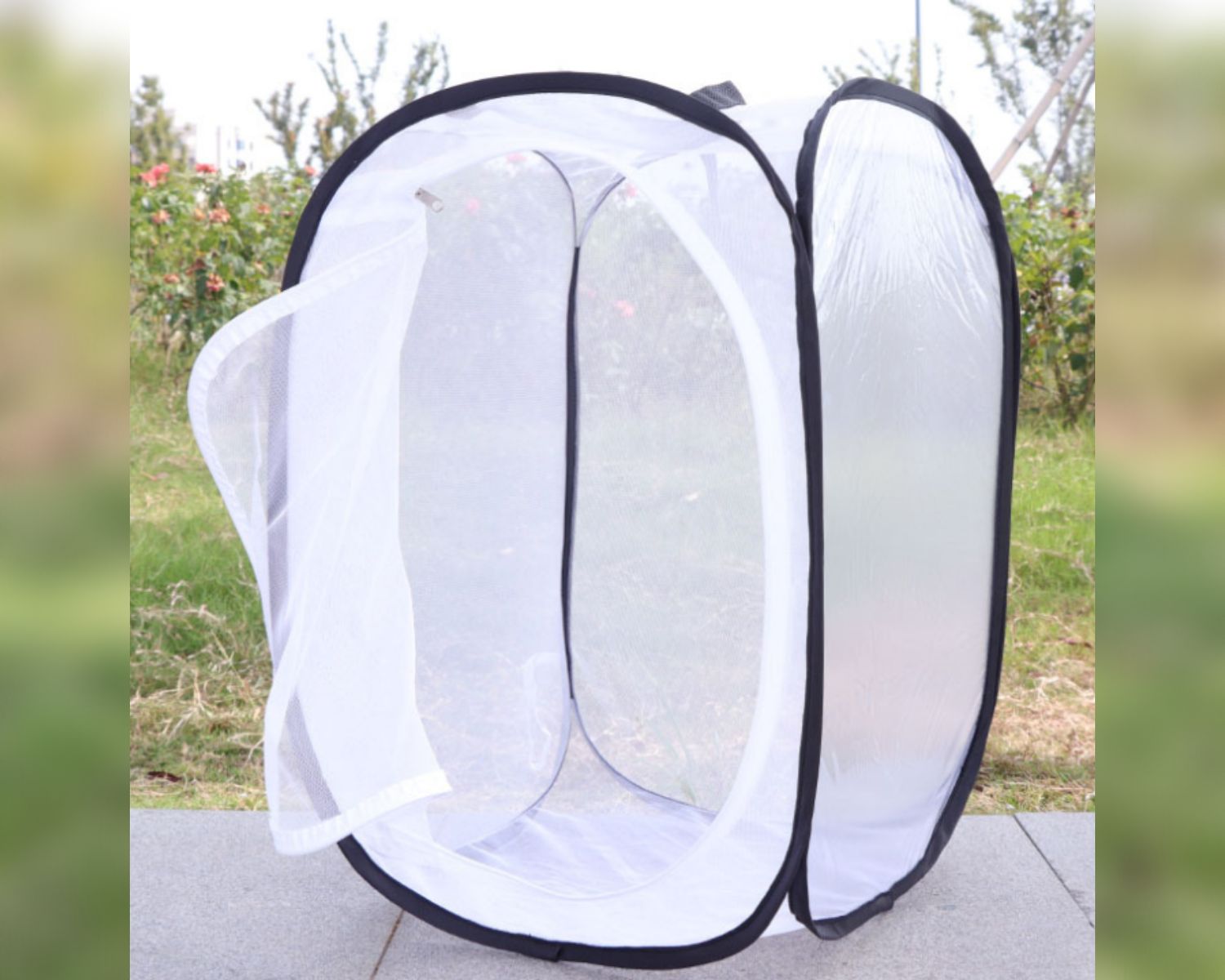 Vente D accessoires Et Vivariums D di s L levage D insectes Vivants vente-d-accessoires-et-vivariums-d-di-s-l-levage-d-insectes-vivants