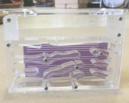 Fourmilière verticale